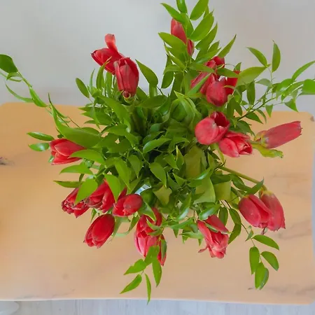 Acqua Chiara By Rent * Dongo